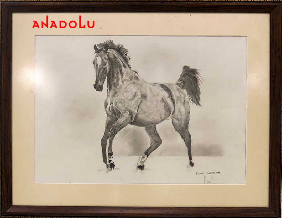 Karakalem At Resmi Çizin Kişiler Eskişehir